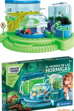 El mundo de las hormigas ciencia y juego lab