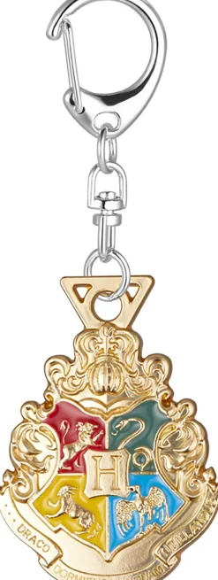 Llavero Premium Harry Potter Colección Surtidos