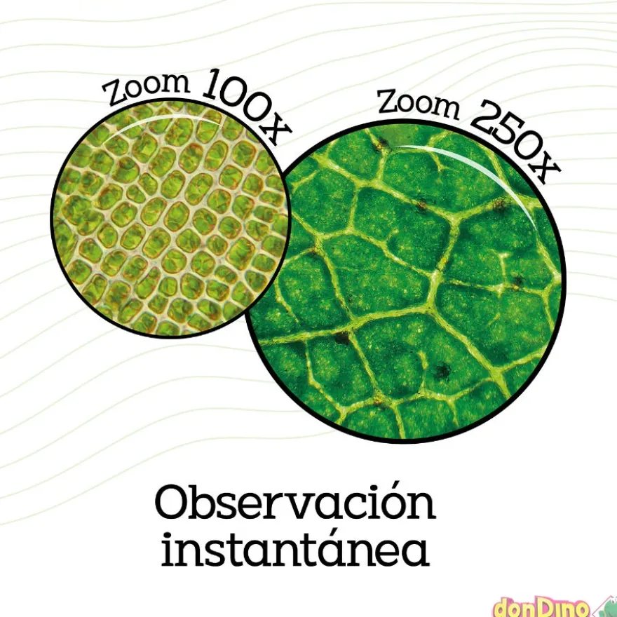 Microscopio portatil so science