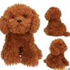 Perro de peluche teddy marron tm