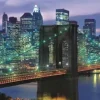 Puzzle 1000 pzas. new york panorama c/poster