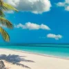 Puzzle 1000 pzas. swinging by ocean panorama - + poster incluido